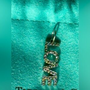 Tiffany & Co.Platinum & Diamonds Charm